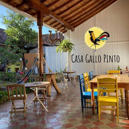 Casa Gallo Pinto Granada Exterior foto