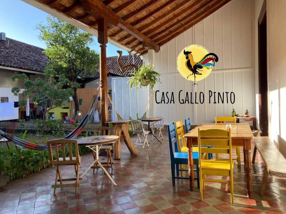 Casa Gallo Pinto Granada Exterior foto