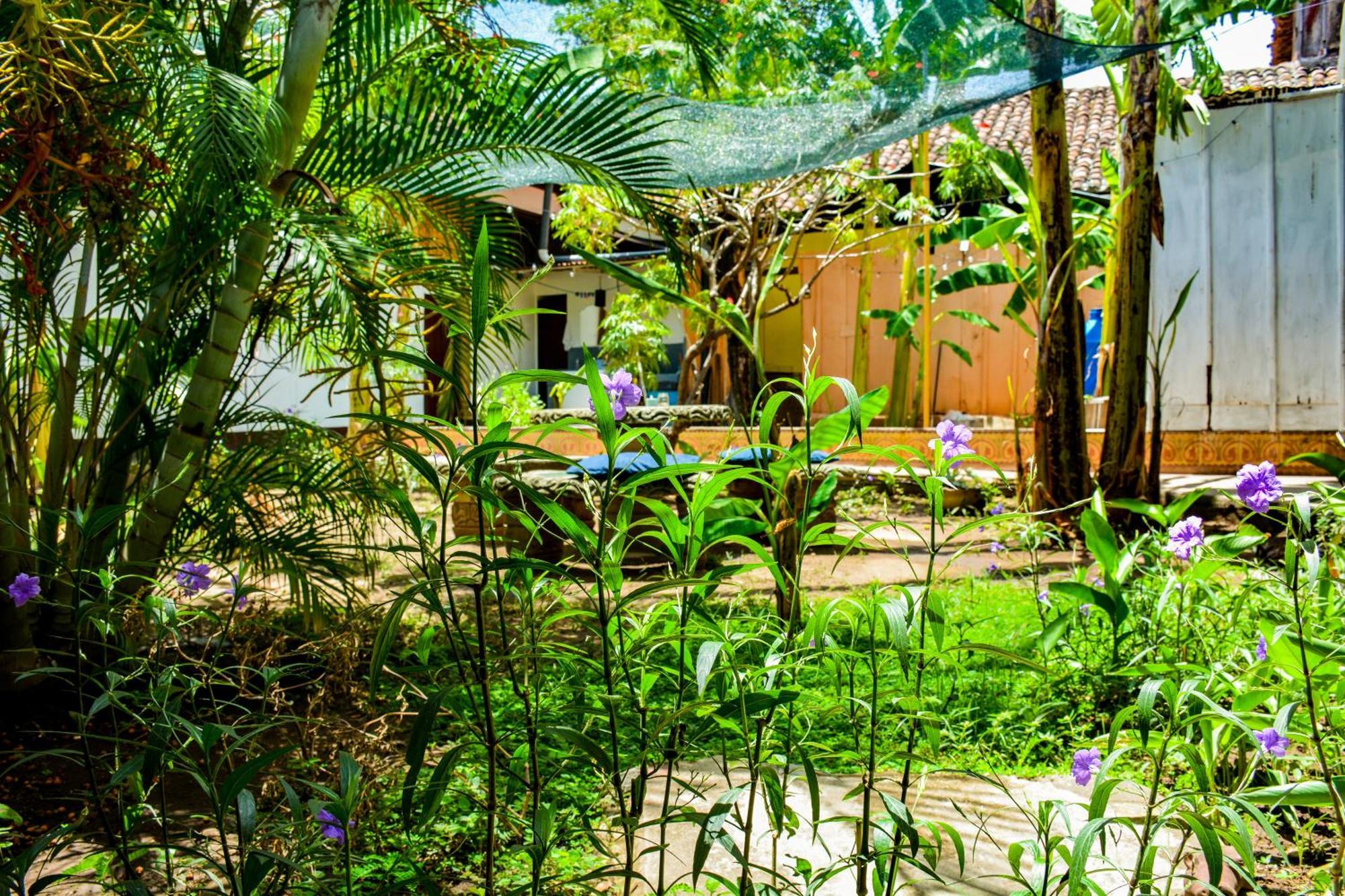 Casa Gallo Pinto Granada Exterior foto